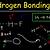 can hf form hydrogen bonds
