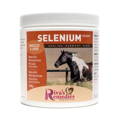 Selenium for Horses Healthy horses, Horse nutrition, Equine nutrition