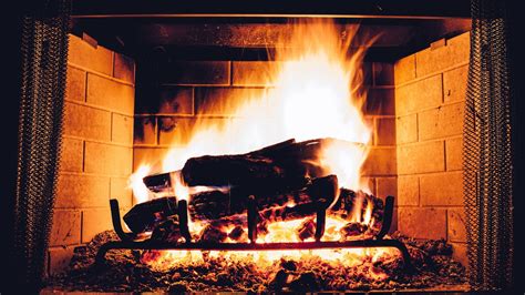 Can I Burn Wood in My Gas Fireplace? Backyard Boss