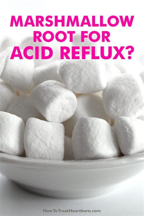 Marshmallow Root For Acid Reflux How to Treat Heartburn