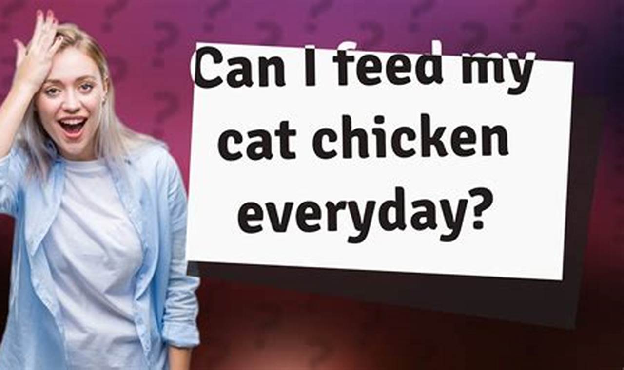 can i feed my cat chicken everyday