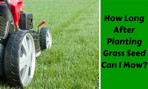 How Long After Planting Grass Seed Can I Mow?