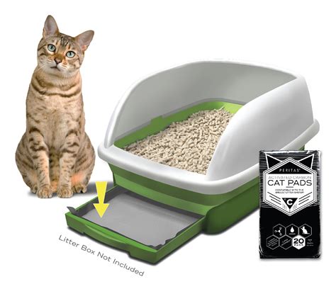 OUR CAT Clumping Cat Litter with CHARCOAL (12 kg) Gilbert Emerson