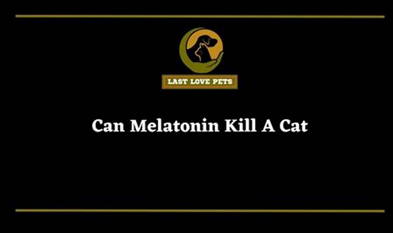 can melatonin kill a cat