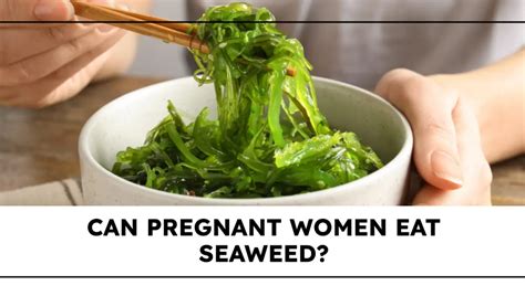 Can Pregnant Women Eat Seaweed Seaweed for Pregnancy Hello Lidy