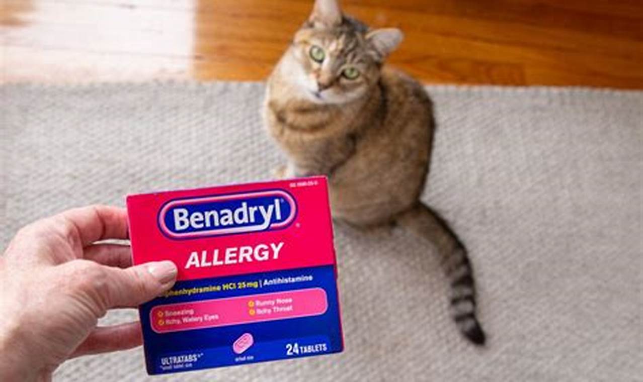 can u give cats benadryl