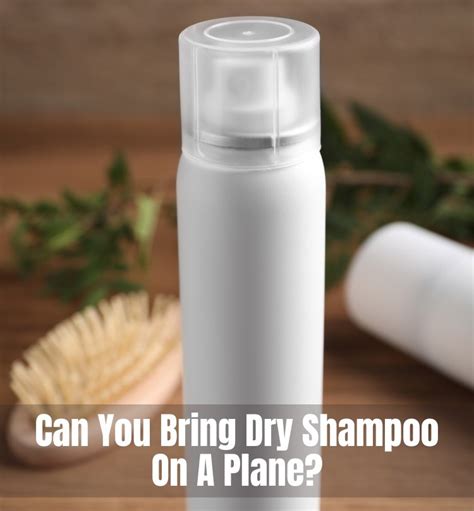 Can You Bring Dry Shampoo On A Plane? Complete Guide