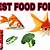 can you feed glofish goldfish food