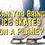 can you fly with ice skates