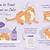 can you give flea treatment to a nursing cat