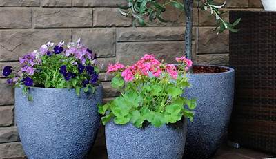 Can You Keep Ceramic Pots Outside In Winter