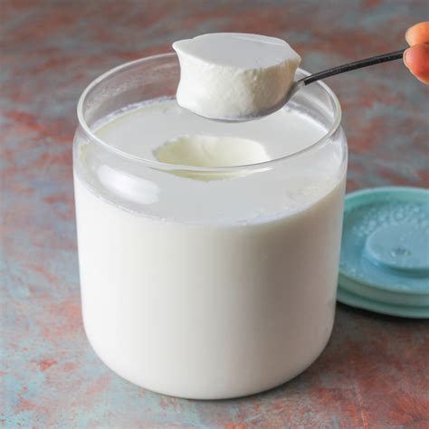 How to make thick and creamy lactose free homemade yogurt Luvele AU