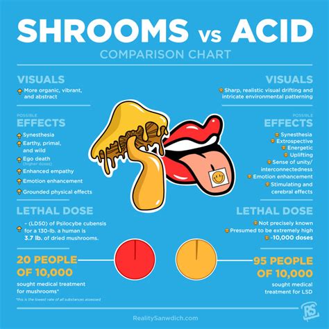 Shrooms vs. Acid The scientific difference between LSD and magic mushrooms