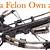can you own a crossbow if you have a felony