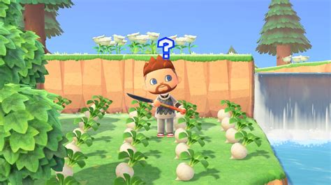 Can you grow turnips in Animal Crossing New Horizons