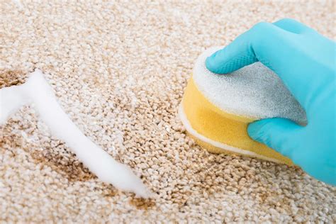 How to Clean Carpet with Baking Soda 6 Steps to Follow