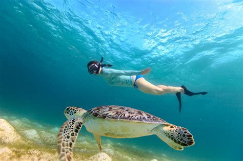 Best Bets Seven Spots to Get Your Snorkeling Fix in Oahu Hawaii Home