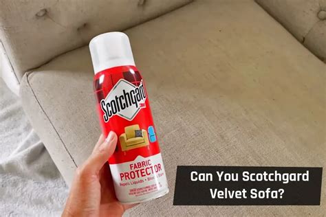 This Can You Use Scotchgard On Velvet Couch For Living Room
