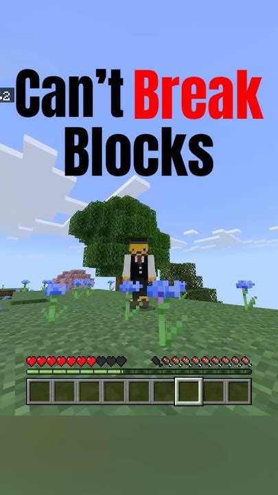 Can't Break Blocks In Minecraft Server