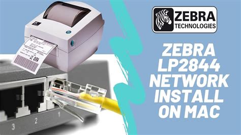 Can't Find Zebra Printer On Network