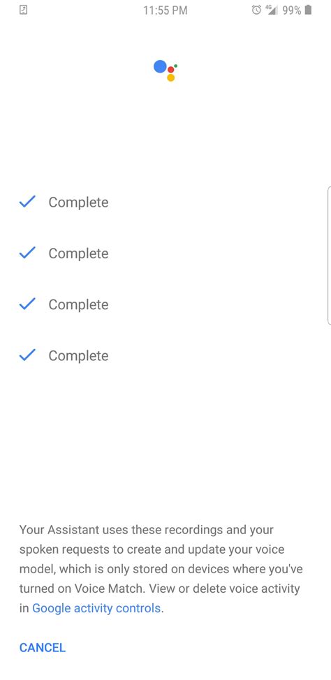 can't get google voice to work