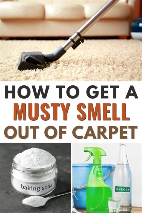 Can't Get Rid Of Sick Smell In Carpet