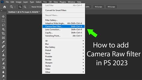Can't Use Camera Raw Filter