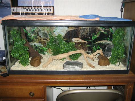 Can A Ball Python Cage Be Too Big