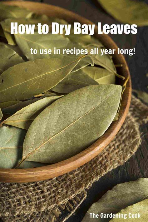 Can A Bay Leaf Kill You