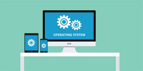 can a computer work without software