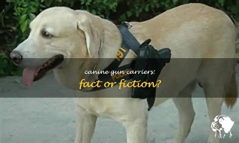 can a dog carry a firearm