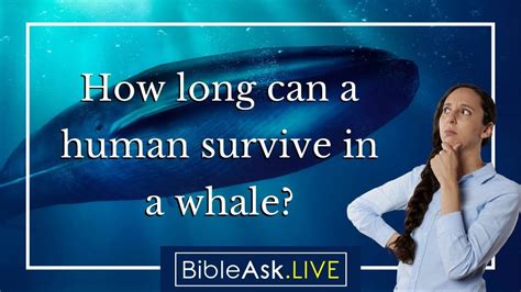 can a human live in a whale