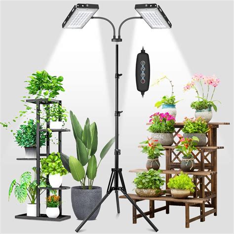 Can A Plant Get Light From A Lamp