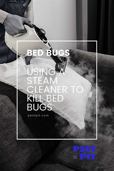 Can A Steam Cleaner Kill Bed Bugs
