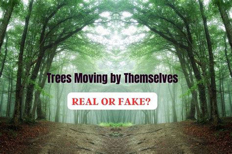 Can A Tree Move By Itself