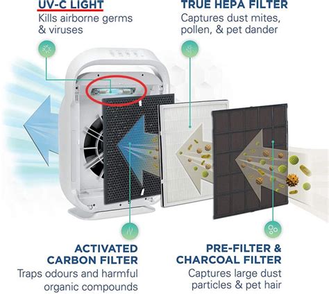 Can Air Purifiers Kill Mold