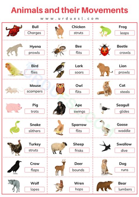 Can All Animals Move