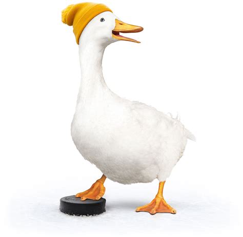 can anyone get aflac insurance