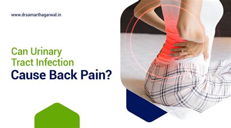 Can Back Pain Cause Urinary Problems