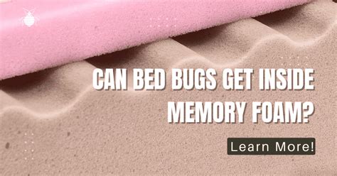 Can Bed Bugs Get In Memory Foam