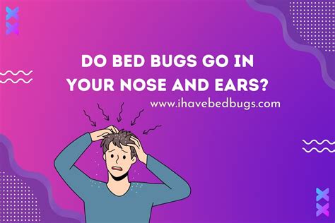 Can Bed Bugs Get In Your Ear Canal