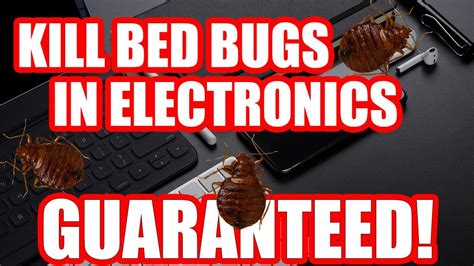 Can Bed Bugs Get In Your Electronics