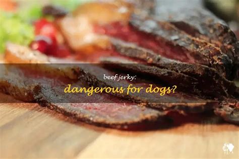 Can Beef Jerky Kill Dogs