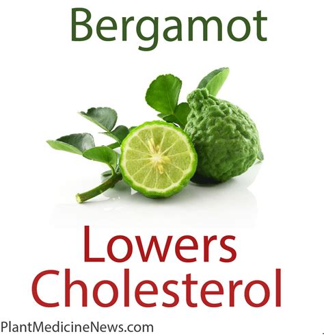 can bergamot lower cholesterol