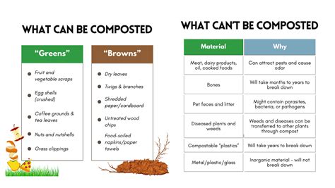 Can Blackberries Be Composted