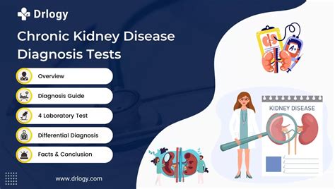 can blood tests detect kidney problems