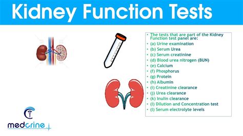 can blood work check kidney function