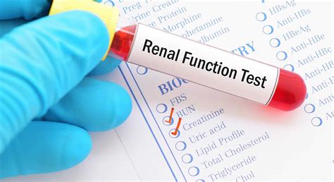 can blood work determine kidney function