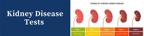 can bloodwork detect kidney problems