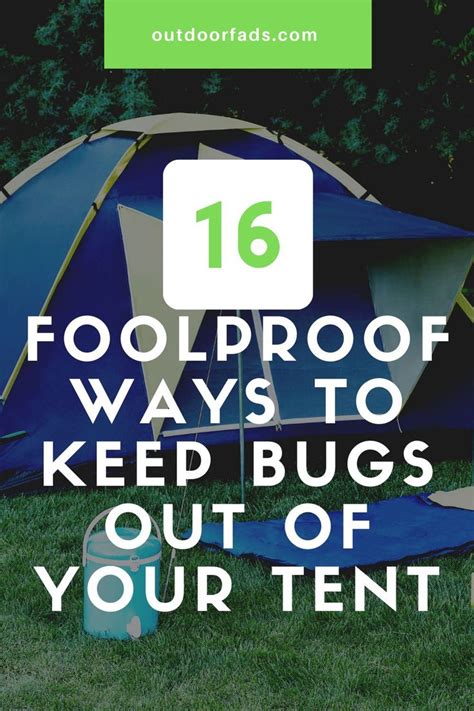 Can Bugs Get In Tents